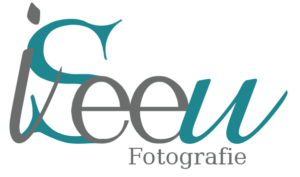 iSeeU Logo